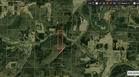 40 Wooded Acres for Sale in Crawford County, Indiana - image 3