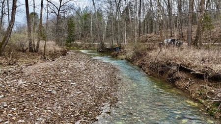 40 Wooded Acres for Sale in Crawford County, Indiana - image 21