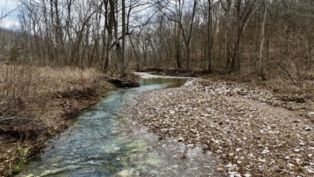 40 Wooded Acres for Sale in Crawford County, Indiana - image 19