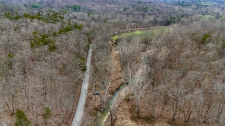 40 Wooded Acres for Sale in Crawford County, Indiana - image 9