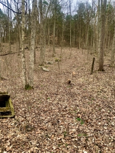 40 Wooded Acres for Sale in Crawford County, Indiana - image 24