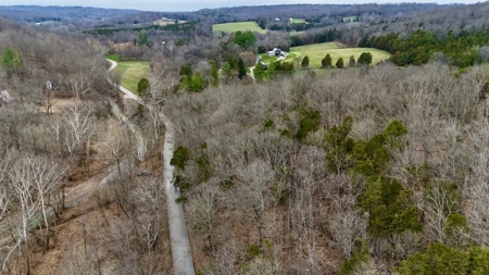 40 Wooded Acres for Sale in Crawford County, Indiana - image 11