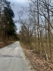 40 Wooded Acres for Sale in Crawford County, Indiana - image 4