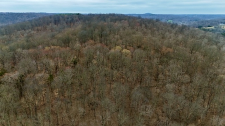 40 Wooded Acres for Sale in Crawford County, Indiana - image 16