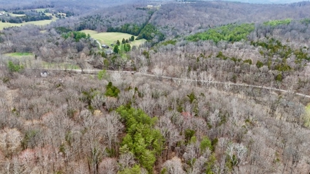 40 Wooded Acres for Sale in Crawford County, Indiana - image 14