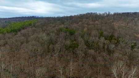 40 Wooded Acres for Sale in Crawford County, Indiana - image 12