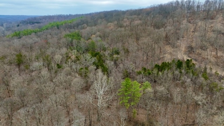40 Wooded Acres for Sale in Crawford County, Indiana - image 7
