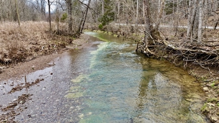 40 Wooded Acres for Sale in Crawford County, Indiana - image 18