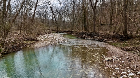 40 Wooded Acres for Sale in Crawford County, Indiana - image 20