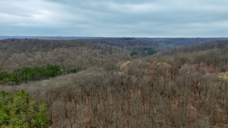 40 Wooded Acres for Sale in Crawford County, Indiana - image 13