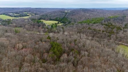40 Wooded Acres for Sale in Crawford County, Indiana - image 17
