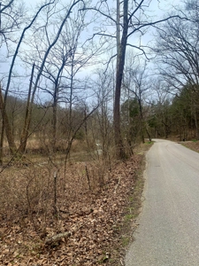 40 Wooded Acres for Sale in Crawford County, Indiana - image 5