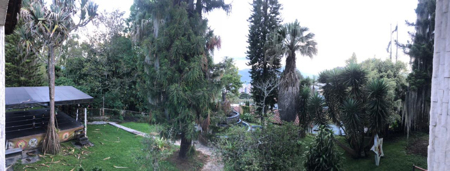 Farm & Ranch for Sale in Medellín, Antioquia Colombia - image 4