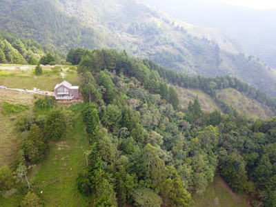 Farm & Ranch for Sale in Envigado, Antioquia Colombia - image 6