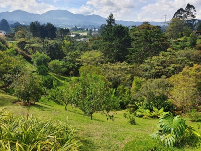 Country House for Sale in La Ceja, Antioquia Colombia - image 2