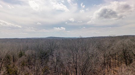Vacant Acreage for sale in the Missouri Ozarks | Gainesville - image 8