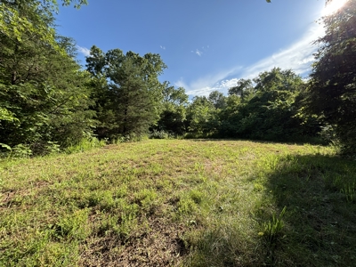 Vacant Acreage for sale in the Missouri Ozarks | Gainesville - image 11