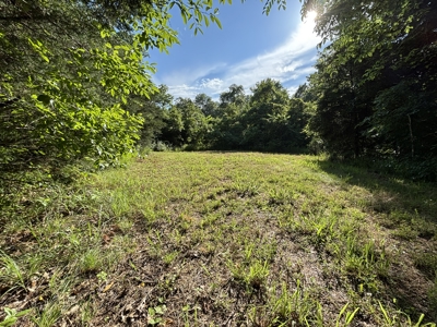 Vacant Acreage for sale in the Missouri Ozarks | Gainesville - image 12