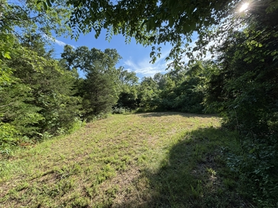 Vacant Acreage for sale in the Missouri Ozarks | Gainesville - image 14