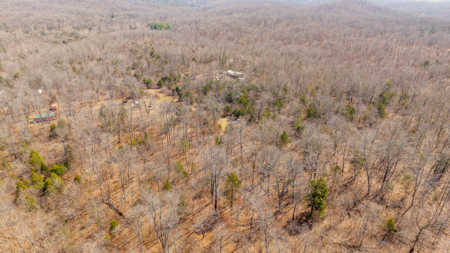 Vacant Acreage for sale in the Missouri Ozarks | Gainesville - image 6