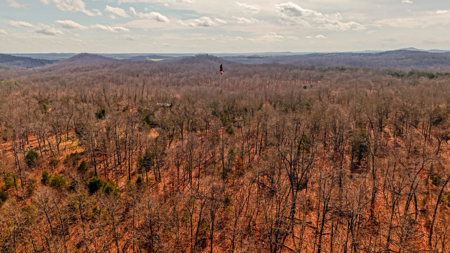 Vacant Acreage for sale in the Missouri Ozarks | Gainesville - image 3