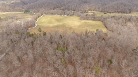 Homestead for Sale in Waverly, TN - image 48
