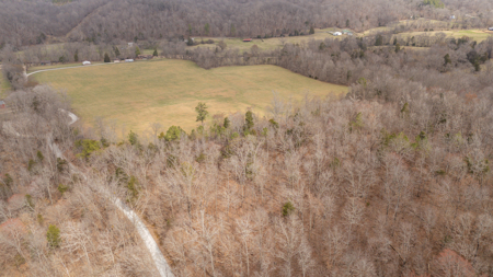 Homestead for Sale in Waverly, TN - image 49