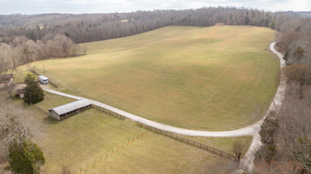 Homestead for Sale in Waverly, TN - image 3