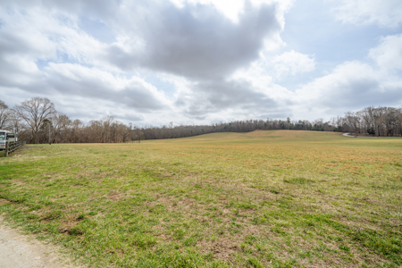 Homestead for Sale in Waverly, TN - image 38