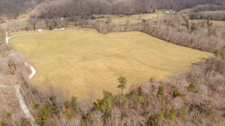 Homestead for Sale in Waverly, TN - image 2
