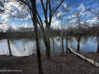 Lake Mary Waterfront Camp in Woodville MS - image 11