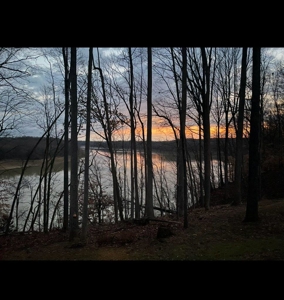 Barren River Lake Home with Boat Slip - image 2