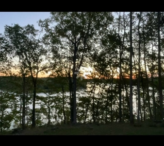 Barren River Lake Home with Boat Slip - image 4