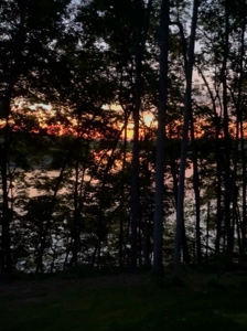 Barren River Lake Home with Boat Slip - image 3