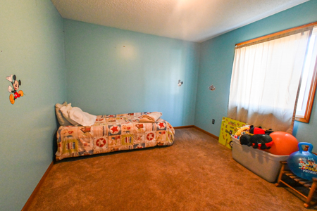 Home for sale St. Clair County Missouri - image 50
