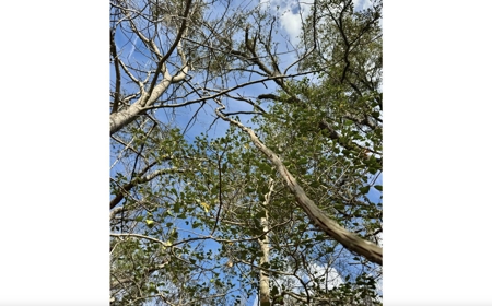Half‑Acre River‑Area Retreat in Jasper, FL - image 19