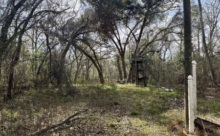 Half‑Acre River‑Area Retreat in Jasper, FL - image 7