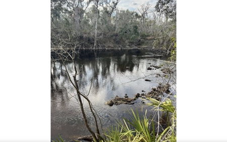 Half‑Acre River‑Area Retreat in Jasper, FL - image 22