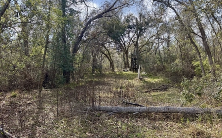 Half‑Acre River‑Area Retreat in Jasper, FL - image 6