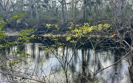 Half‑Acre River‑Area Retreat in Jasper, FL - image 24
