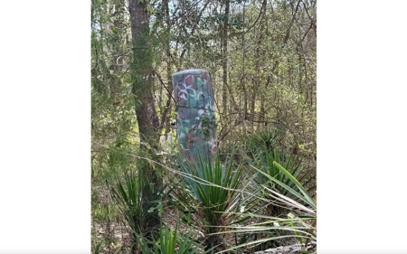Half‑Acre River‑Area Retreat in Jasper, FL - image 5