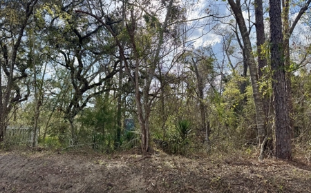 Half‑Acre River‑Area Retreat in Jasper, FL - image 2