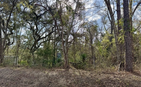 Half‑Acre River‑Area Retreat in Jasper, FL - image 3