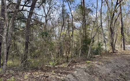 Half‑Acre River‑Area Retreat in Jasper, FL - image 4