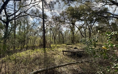 Half‑Acre River‑Area Retreat in Jasper, FL - image 15
