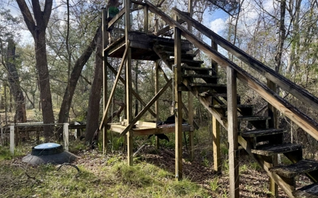 Half‑Acre River‑Area Retreat in Jasper, FL - image 9