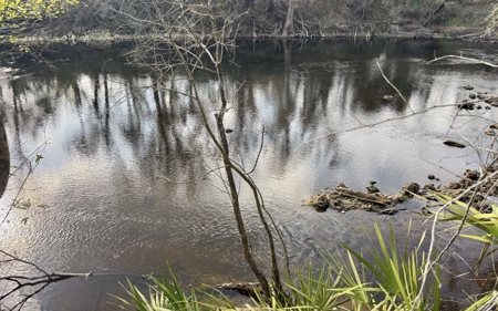 Half‑Acre River‑Area Retreat in Jasper, FL - image 21