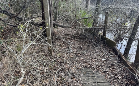 Half‑Acre River‑Area Retreat in Jasper, FL - image 23