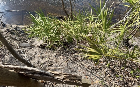 Half‑Acre River‑Area Retreat in Jasper, FL - image 20