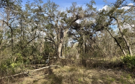 Half‑Acre River‑Area Retreat in Jasper, FL - image 16